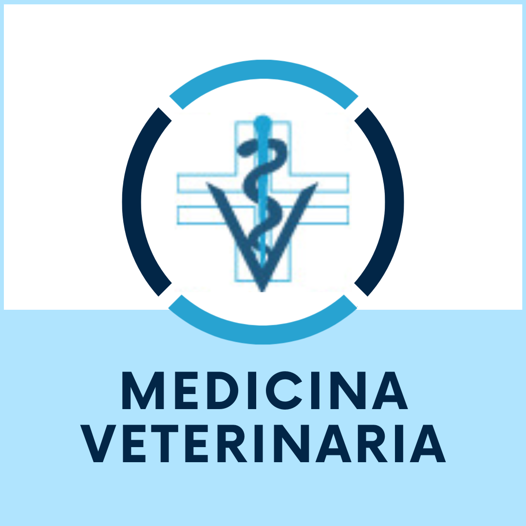 medicina veterinaria