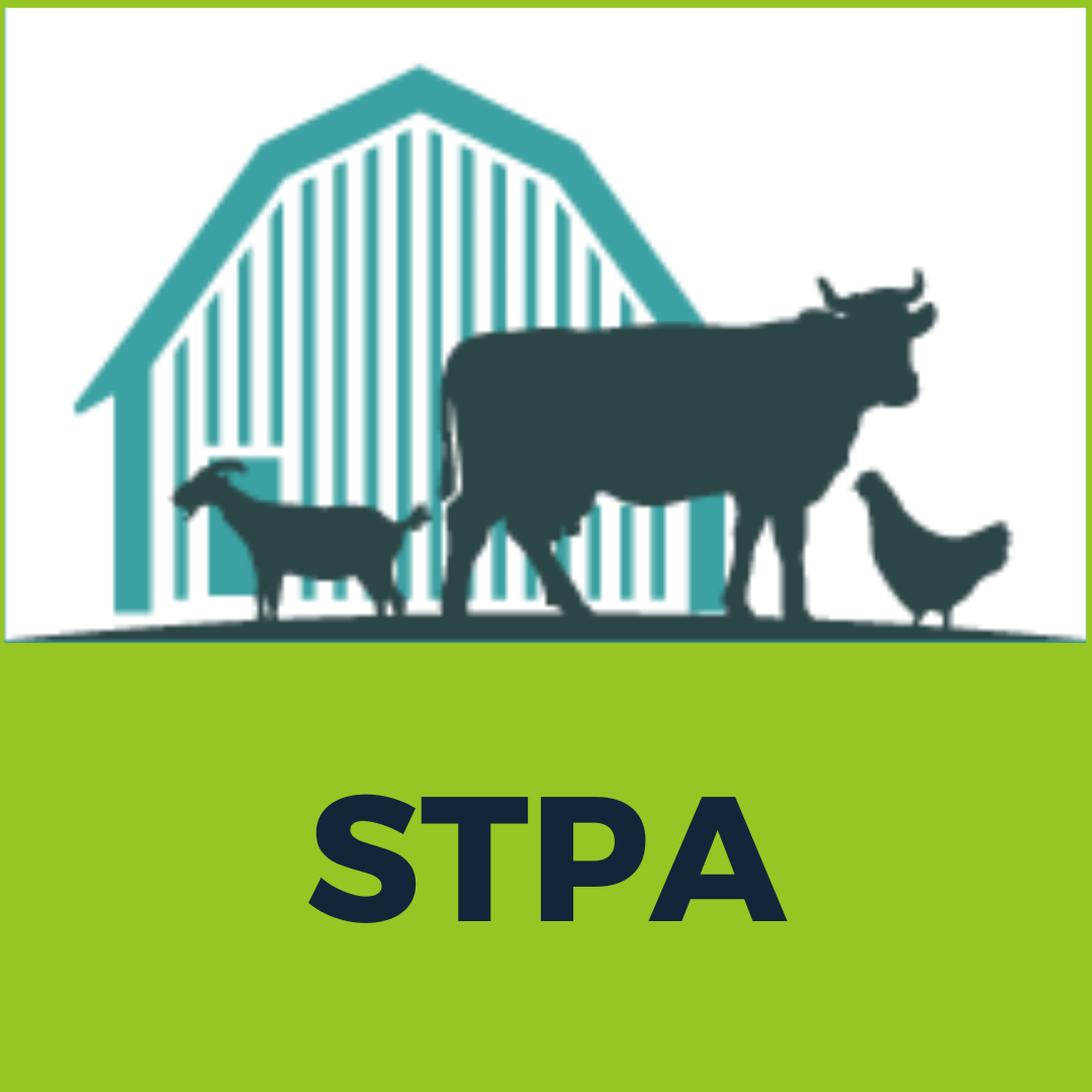 stpa